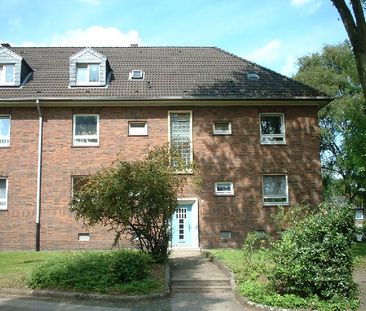 *** Altbauflair in Schlossnähe! Sanierte 2-Zi.-Wohnung in grüner La... - Photo 1