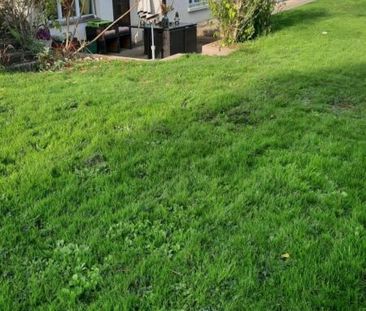 2.5 Zimmer - Photo 2