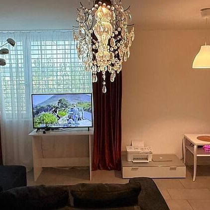 2½ Zimmer-Wohnung in Zürich - Kreis 11 Oerlikon, möbliert, auf Zeit - Photo 1