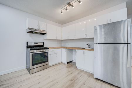 For Lease - 184 Cedric Avenue Unit# Lower, Toronto, Ontario - Photo 3