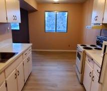 3 Bedrooms,large apartment! Amazing Location! Close to U of C! - Photo 3