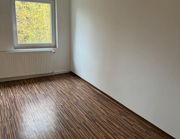 WG Zimmer 1 Zimmer - Photo 1