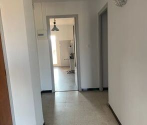 Location Appartement 3 pièces 61 m2 à Perpignan - Photo 6