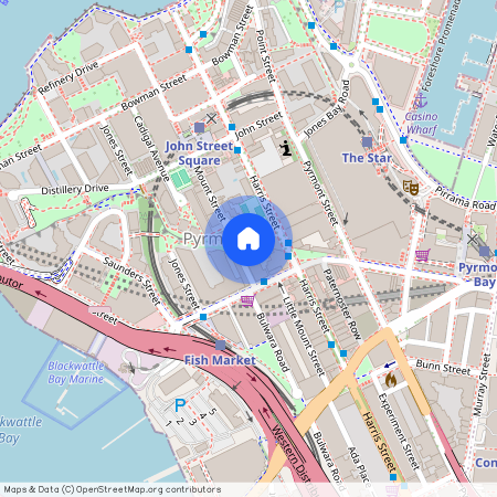 3/56 Mount Street, Pyrmont NSW 2009