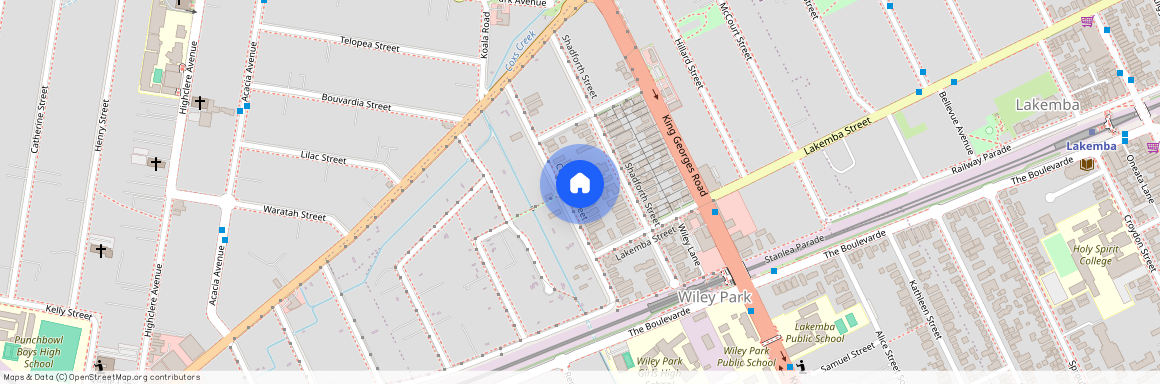 2/33 Cornelia Street, Wiley Park NSW 2195