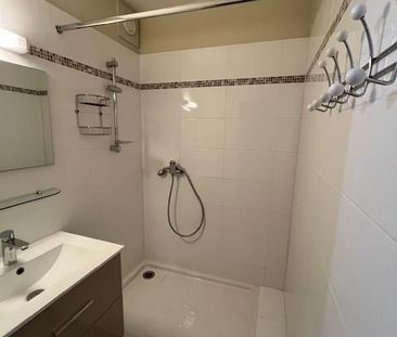 Location Appartement 3 pièces 55m² GRENOBLE 38100 - Photo 6