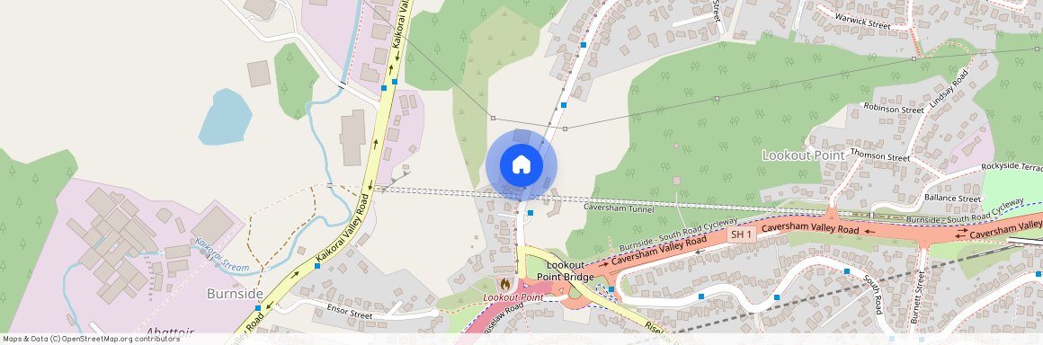 158 Mornington Road, 9011, Kenmure