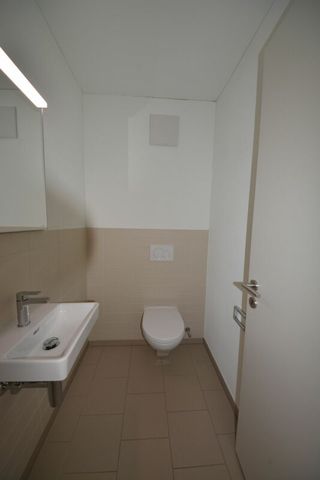 5.5 Zimmer Attikawohnung im Grünen - Foto 5