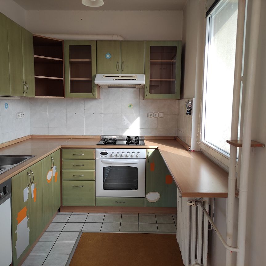 Pronájem bytu 3+1 75 m² - Photo 1