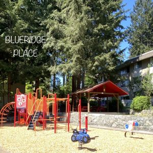 Blueridge Apartments - Photo 2
