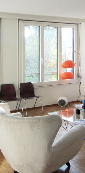 Duplex au cœur des Eaux-Vives - Foto 1