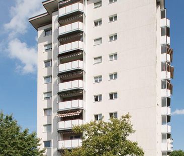 IHRE Singlewohnung - Photo 6