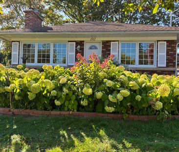 À louer / Maison de plain-pied - Photo 1