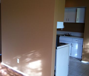 3 Bedrooms,large apartment! Amazing Location! Close to U of C! - Photo 2