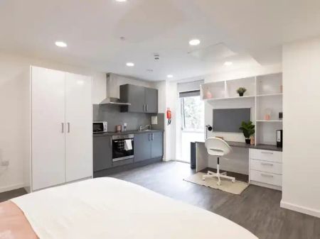 Premium Studio Plus - Photo 2