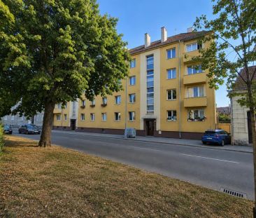 Pronájem nově zrekonstruovaného bytu 3+kk s parkováním, Palackého, ... - Фото 3
