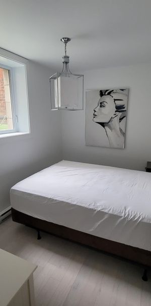 McGill Area - Superb 4 1/2 Furnished - Photo 1