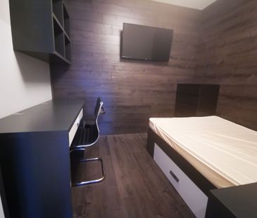 For Lease - 330 Phillip Street Unit# S-213, Waterloo, Ontario - Photo 2