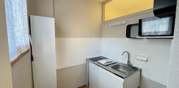 Location Appartement 1 pièce Meublé 30m² CHAMBERY 73000 - Photo 2