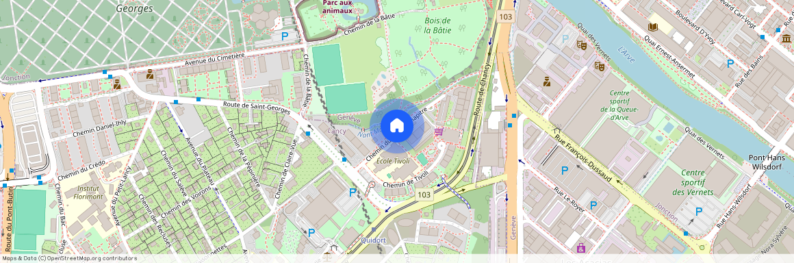 chemin du Fief-de-Chapitre, 1213 Petit-Lancy