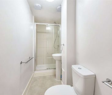 A raised ground floor studio room on Cranley Gardens with its own k... - Photo 4