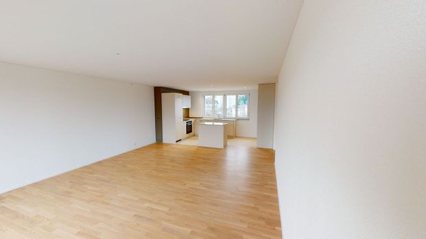 Wunderschöne Wohnung in Wetzikon - Photo 1