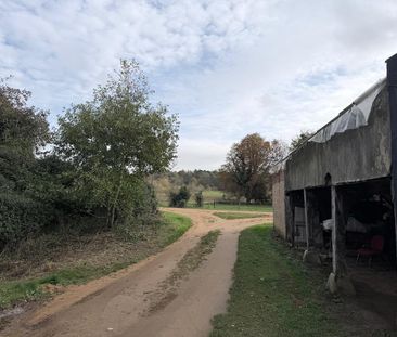 1 bedroom bungalow to rent - Photo 4