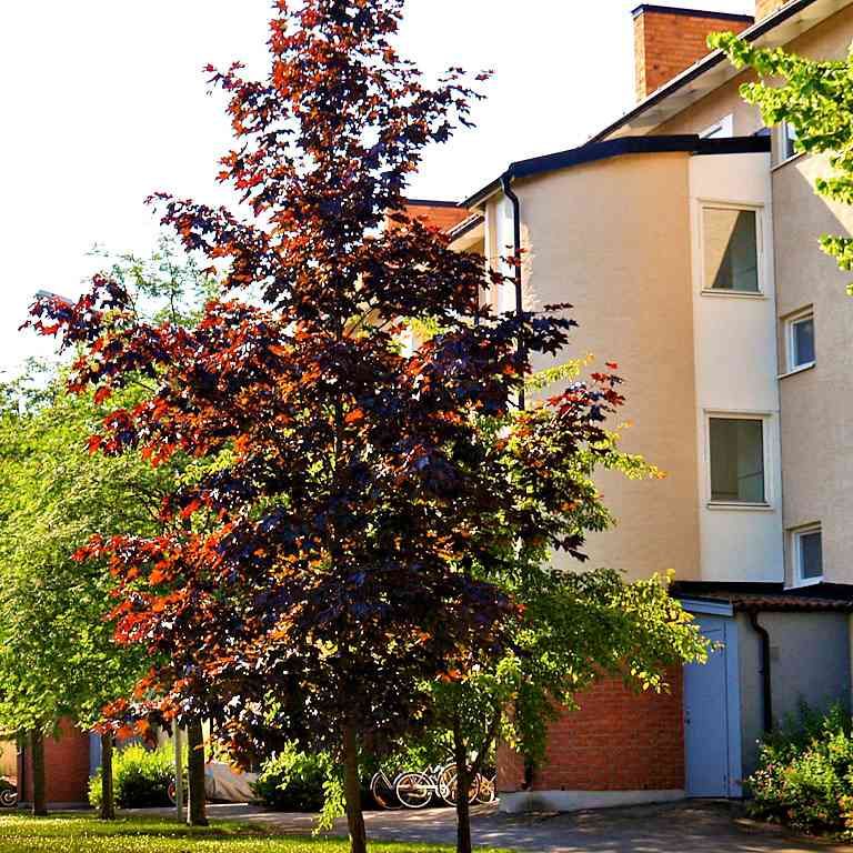 1 RUM KOKVRÅ - Photo 1