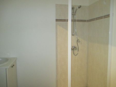 Location Appartement 1 pièce 29m² ORLEANS 45000 - Photo 3