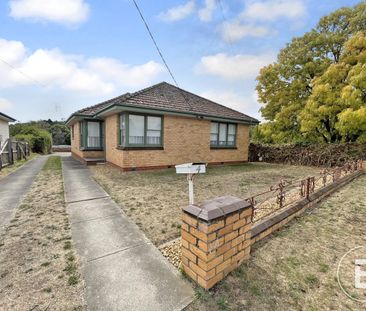 RECENTLY UPDATED THREE BEDROOM HOME WITH SHEDDING - Photo 5