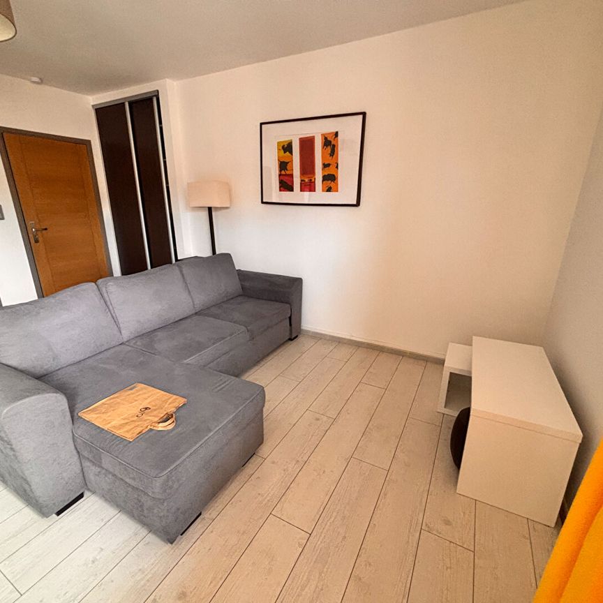 NIMES - APPARTEMENT P2 DE 45 M2 AVEC LOGGIA, BALCON + PARKING EN SS + CAVE, - Photo 1