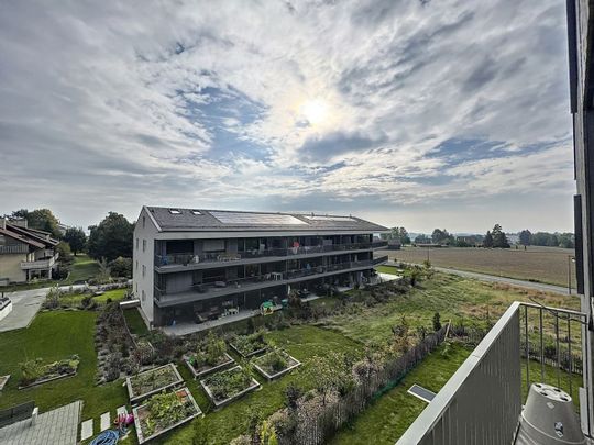 Beautiful ground floor apartment in quiet neighborhood - Photo 1