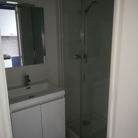 Location Appartement 1 pièce 19m² ANGERS 49100 - Photo 4