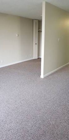 BRIGHT STUDIO UNIT -CHARMING UNIT *MINUTES FROM METROTOWN - Photo 1