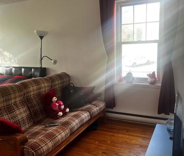 1 CH - 1 SDB - Sherbrooke - $825 /mo - Photo 2