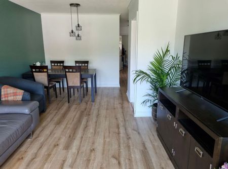 For Lease - 256 Silverbirch Drive Unit# Main Floor, Newmarket, Ontario - Photo 4