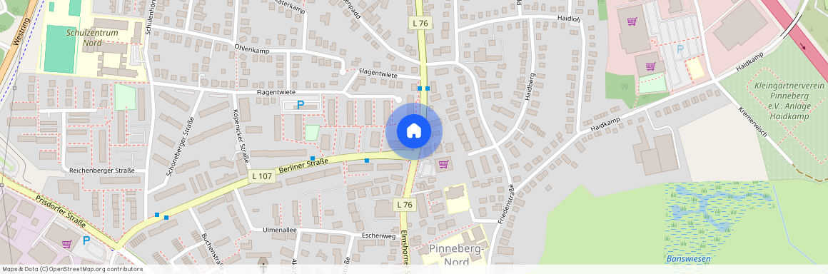 Elmshorner Straße 99, 25421, Pinneberg