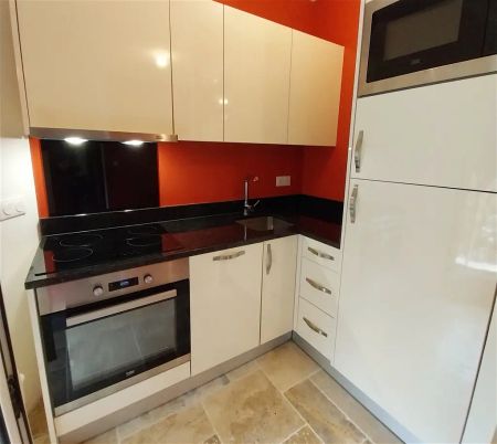 Location appartement 1 pièce - 30m² à Puisseguin (33570) - Photo 3