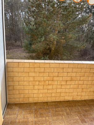 2-Zimmer Wohnung 66m² in Nürnberg Kornburg - Worzeldorf - Photo 1