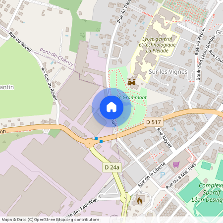 38230, Pont-De-Chéruy