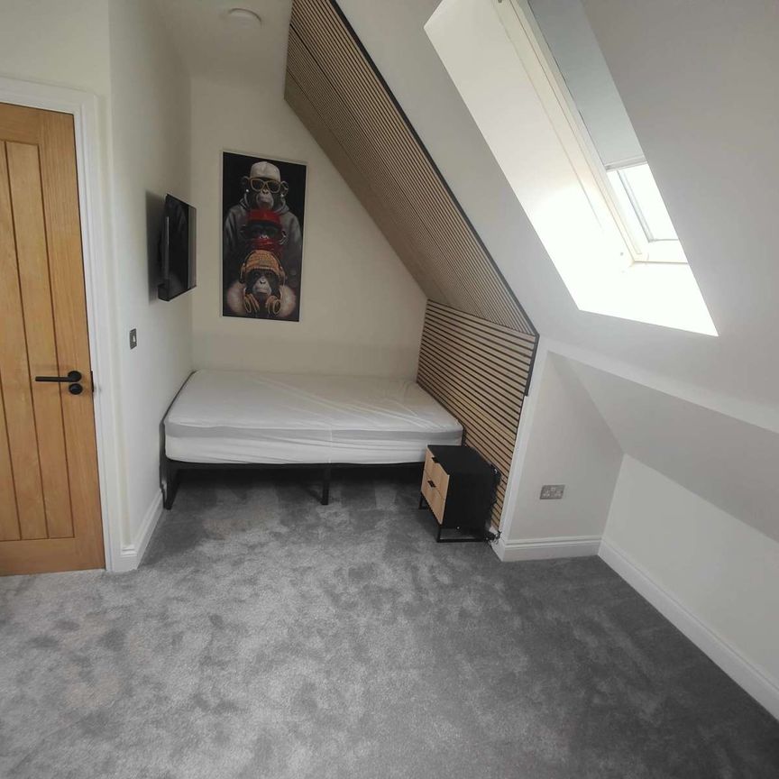 Proffesionals High end HMO Room 3 - Photo 1