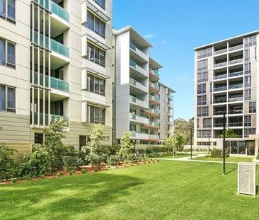 Next to MQ University As New Furnished 1+ Huge Study Apartment with... - Photo 4