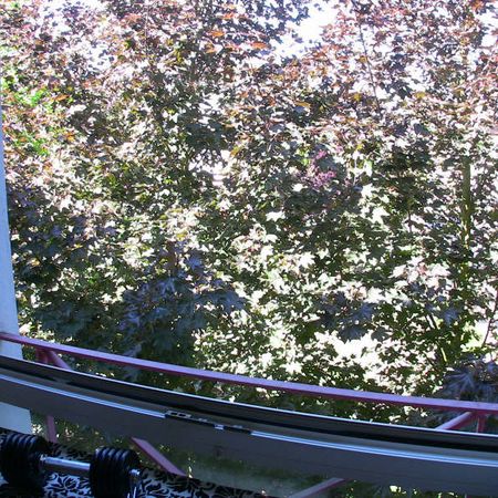 Appartement 1 pièce à Illkirch-Graffenstaden - Photo 3