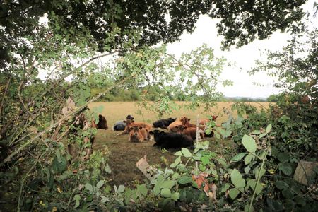 Bakers Way, Capel, Dorking, RH5 - Photo 2
