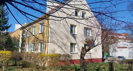 TER11673 Przytulna kawalerka z sypialnią - Фото 3