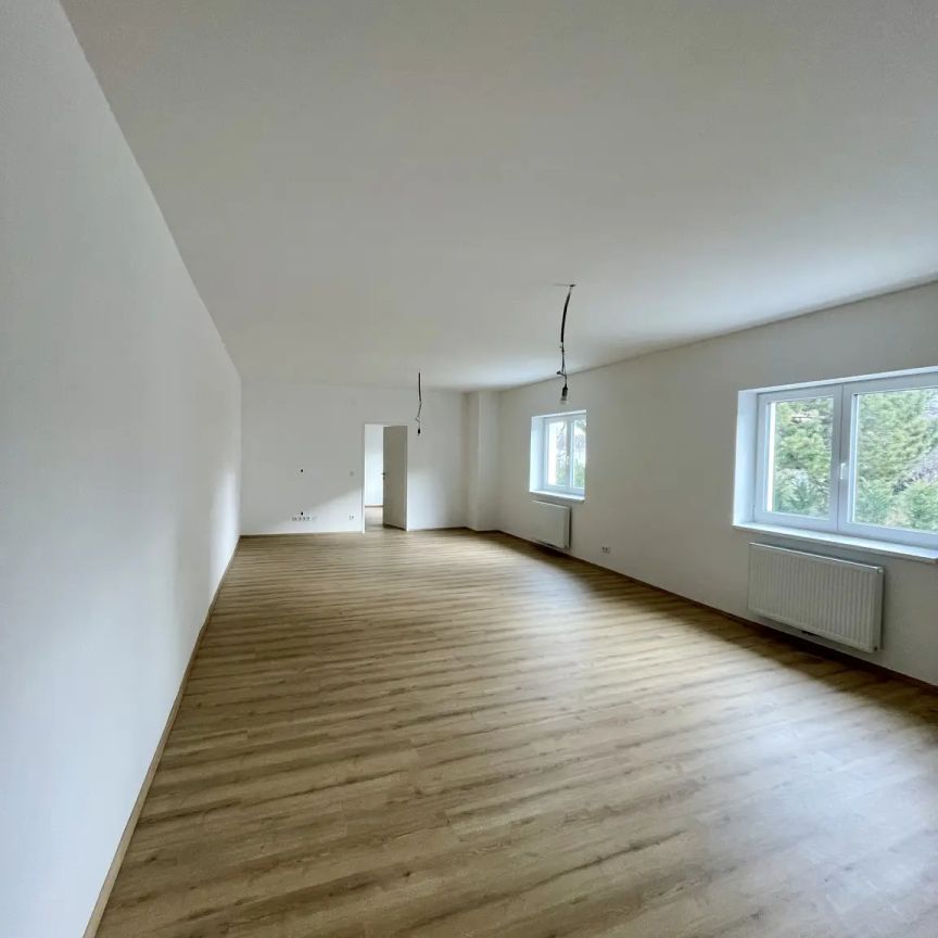 Neubau Etagenwohnung mit Terrasse - Photo 1