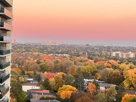 For Lease - 7161 Yonge Street Unit# 1031, Markham, Ontario - Photo 5