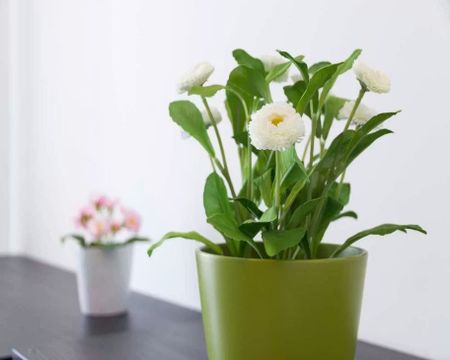 Largo Cavalieri di Malta, Milan, Lombardy 20146 - Photo 3