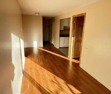 1 CH - 1 SDB - Montréal - $1,146 /mo - Photo 3