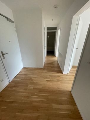 Isarstraße 14, 91052 Erlangen, Deutschland - Photo 1